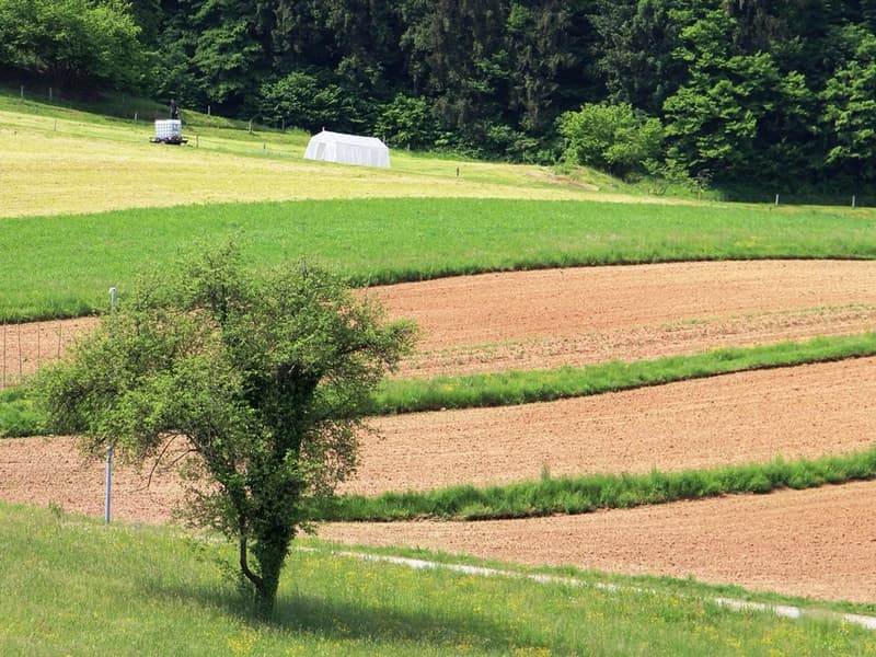 Predstavitev 4. javnega razpisa za podukrep 16.5 Okolje in podnebne spremembe