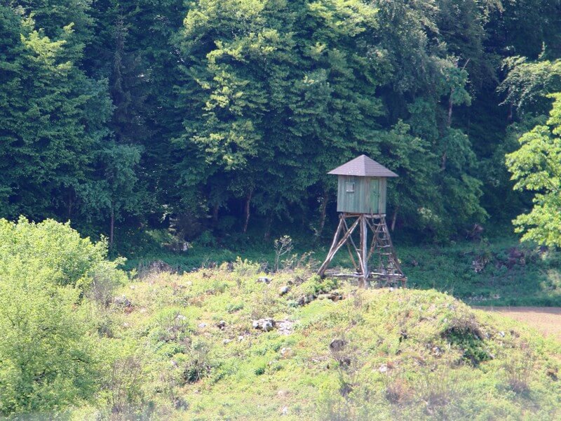 Prost prehod čez kmetijska in gozdna zemljišča