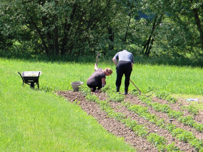 Solastnina in delitev solastnine.