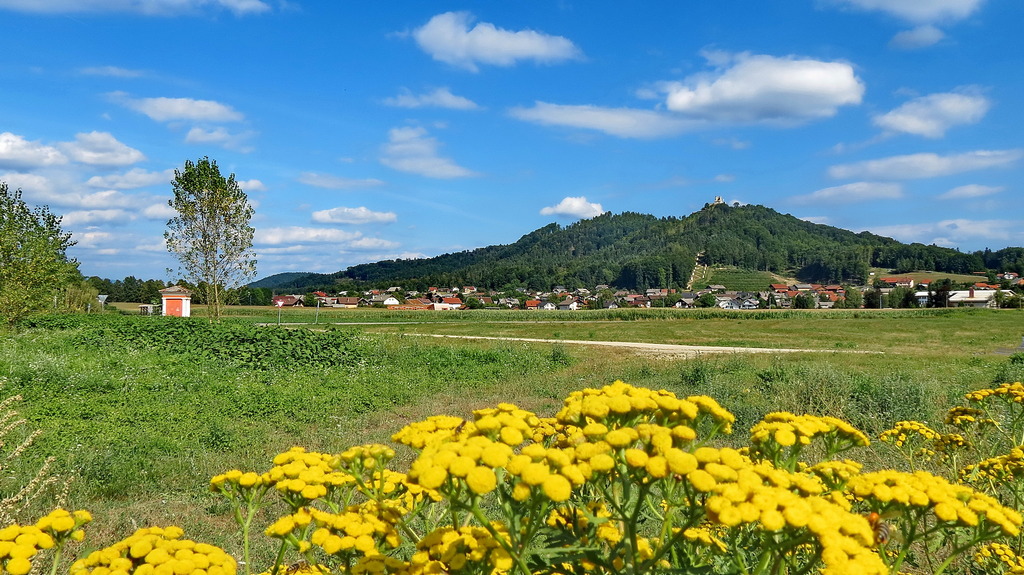 Razpisi za društva, zveze in združenja ter sindikat kmetov