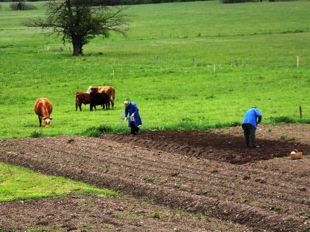 Kmetje morajo ostati zdravi, da bodo lahko oskrbeli prebivalstvo s hrano