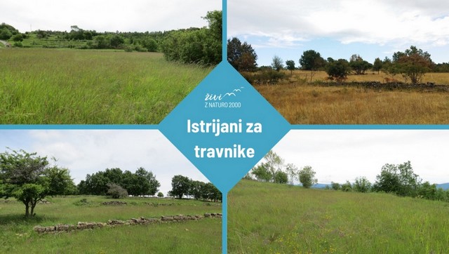 Istrijani za travnike