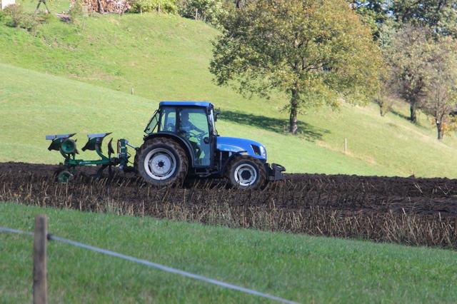 Skupna seja odborov za poljedelstvo, sladkorno peso in VVO