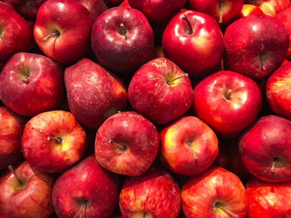 Vlada odobrila finančno nadomestilo pridelovalcem jabolk