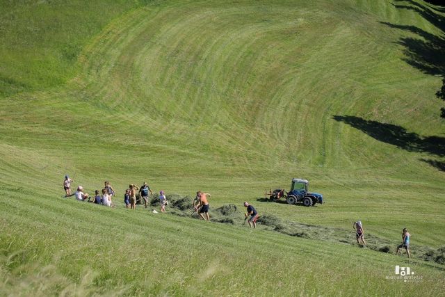 Neposredna plačila za seneno prirejo